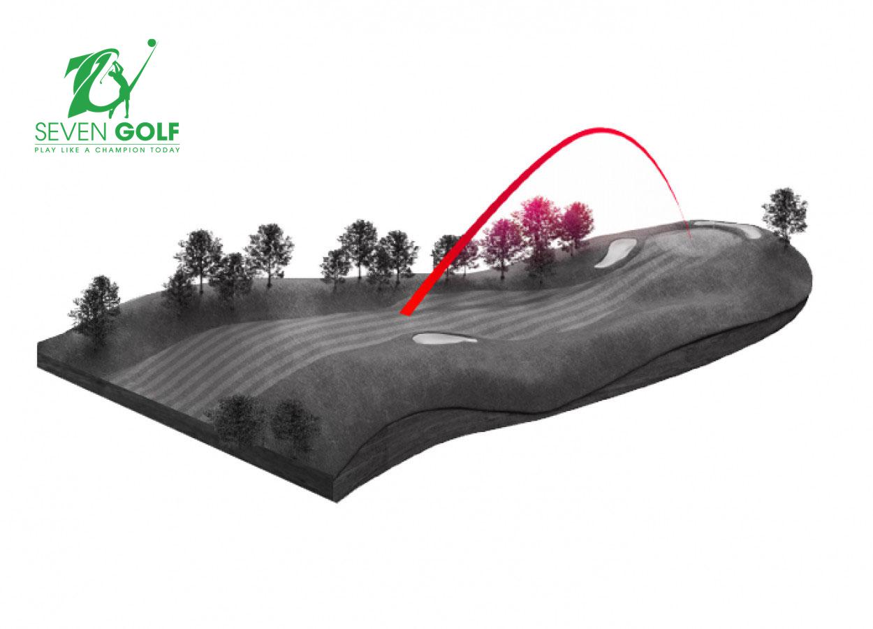 Bộ Gậy Golf Sắt TaylorMade Stealth Iron ( 7Gậy )